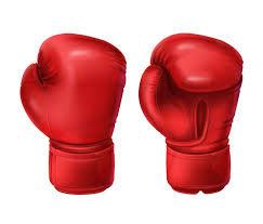 Boxing gloves